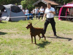 CACIB ADA