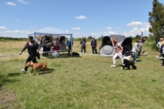 CACIB ADA