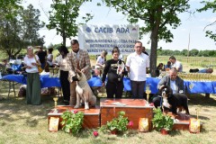 CACIB ADA