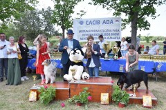 CACIB ADA