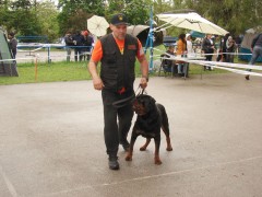 CACIB ADA