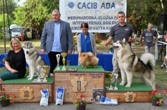 CACIB ADA