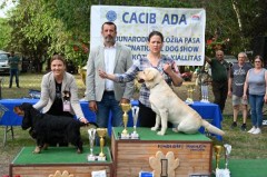 CACIB ADA
